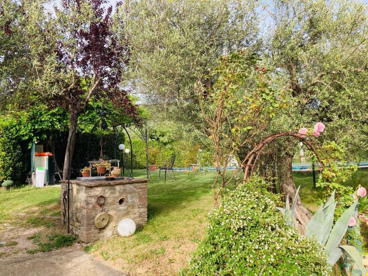 Le Coccole Del Trasimeno Guest House Tuoro sul Trasimeno Eksteriør bilde