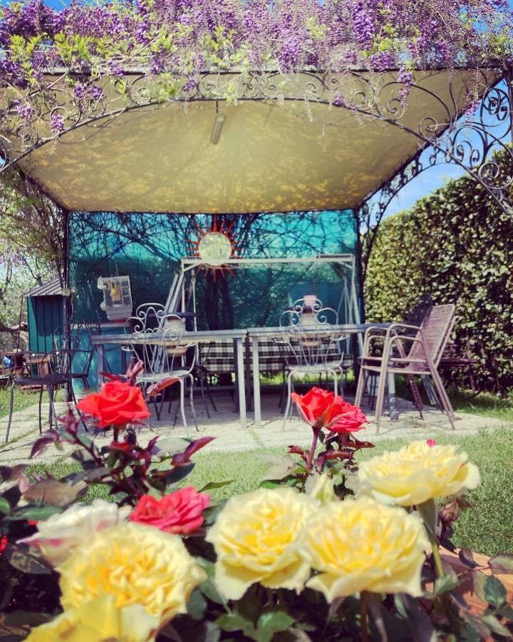Le Coccole Del Trasimeno Guest House Tuoro sul Trasimeno Eksteriør bilde