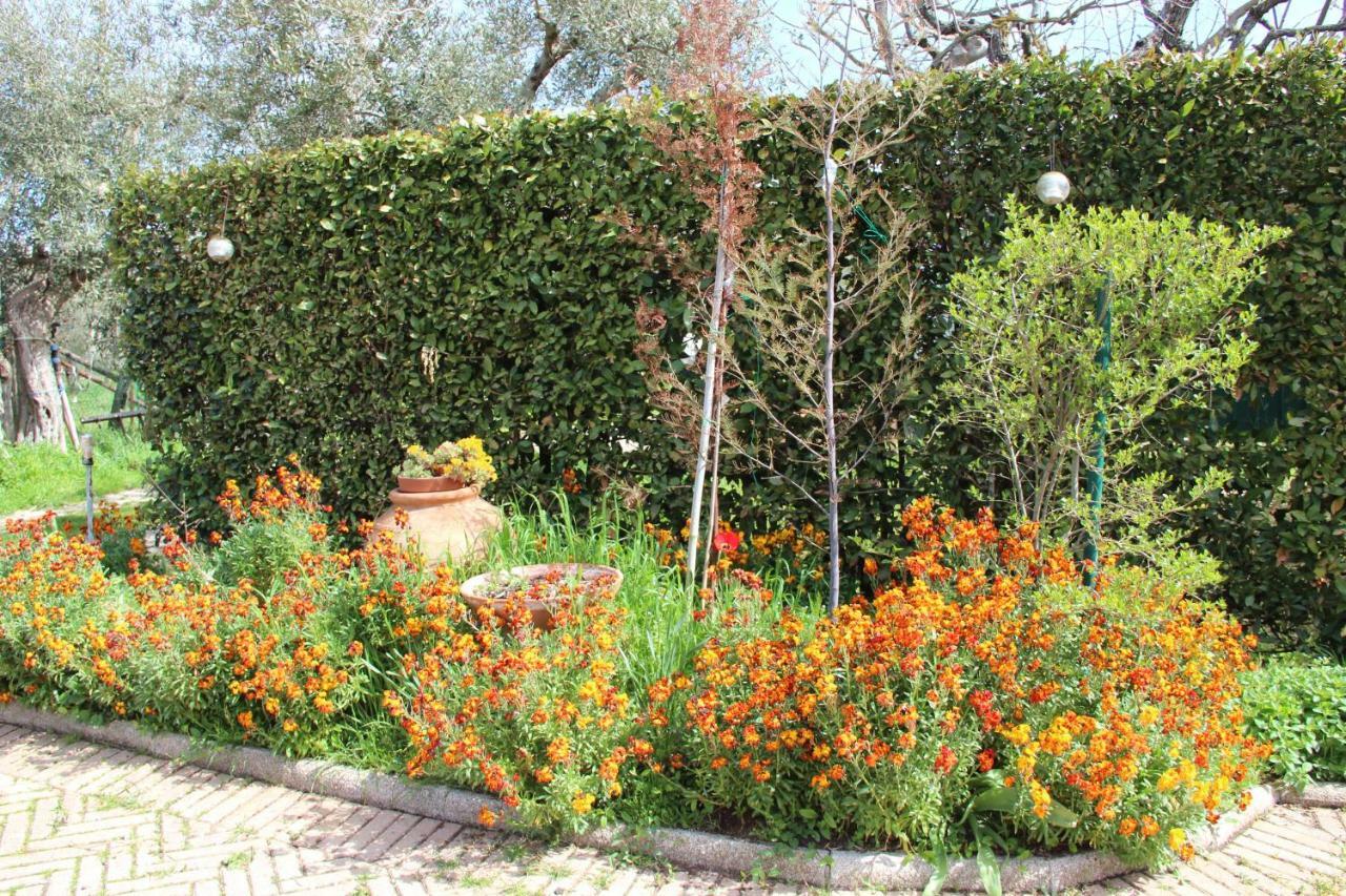 Le Coccole Del Trasimeno Guest House Tuoro sul Trasimeno Eksteriør bilde