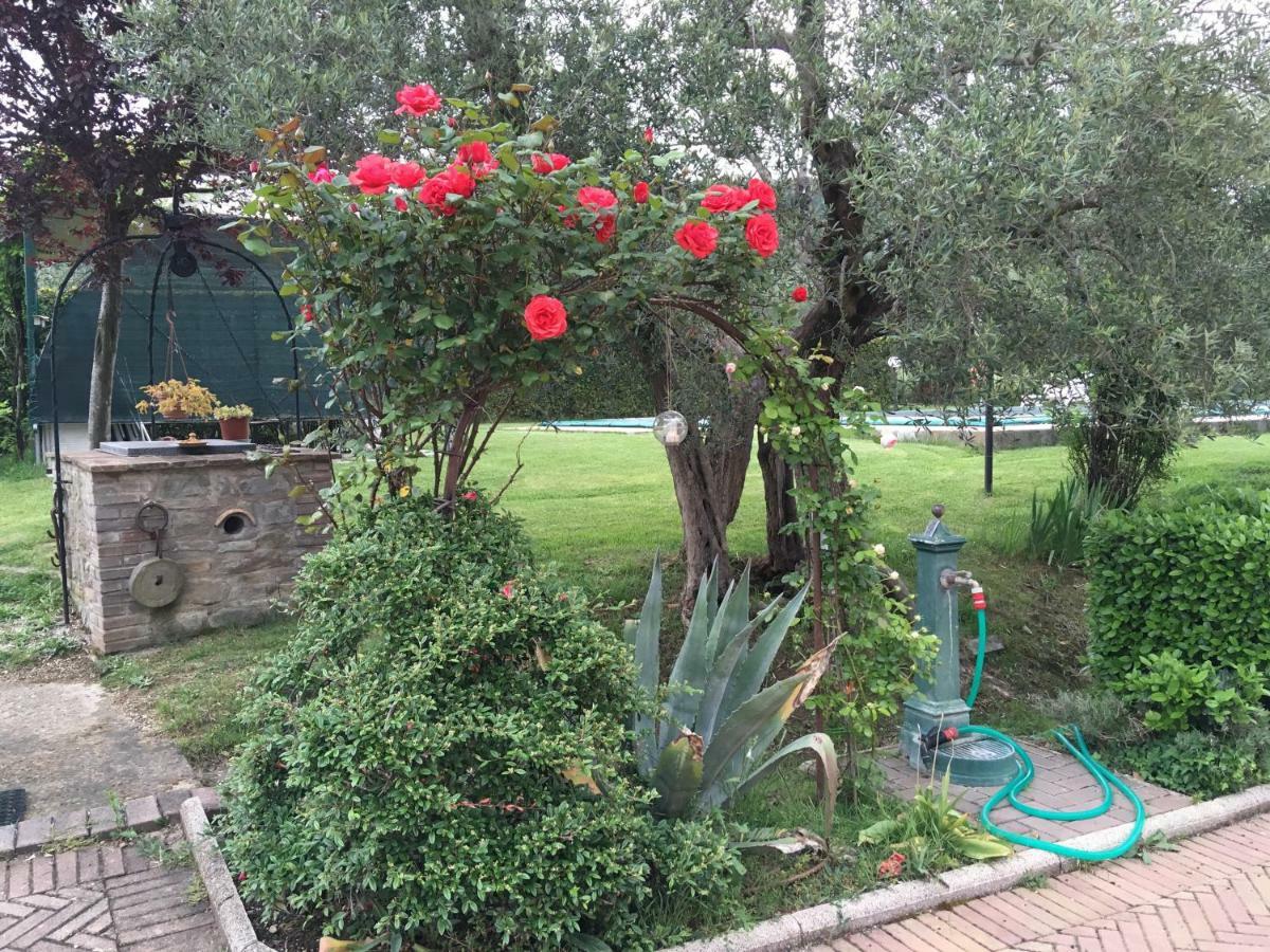Le Coccole Del Trasimeno Guest House Tuoro sul Trasimeno Eksteriør bilde