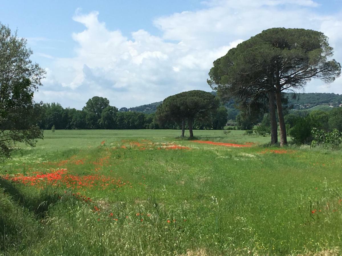 Le Coccole Del Trasimeno Guest House Tuoro sul Trasimeno Eksteriør bilde