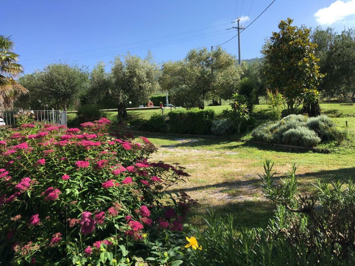 Le Coccole Del Trasimeno Guest House Tuoro sul Trasimeno Eksteriør bilde
